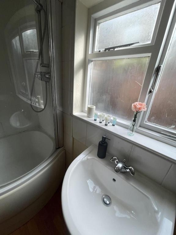 Beautiful Ground Floor Garden Flat Lejlighed London Eksteriør billede